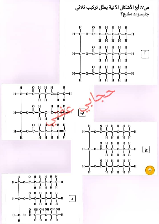 أسئلة على الكربوهيدرات pdf للصف الاول الثانوي بنك المعرفة