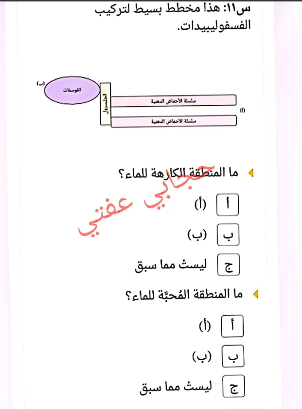 أسئلة على الكربوهيدرات pdf للصف الاول الثانوي بنك المعرفة