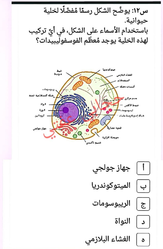 أسئلة على الكربوهيدرات pdf للصف الاول الثانوي بنك المعرفة