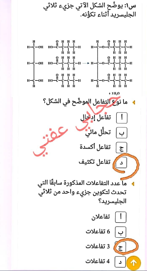 مكرونة قليلة الكربوهيدرات